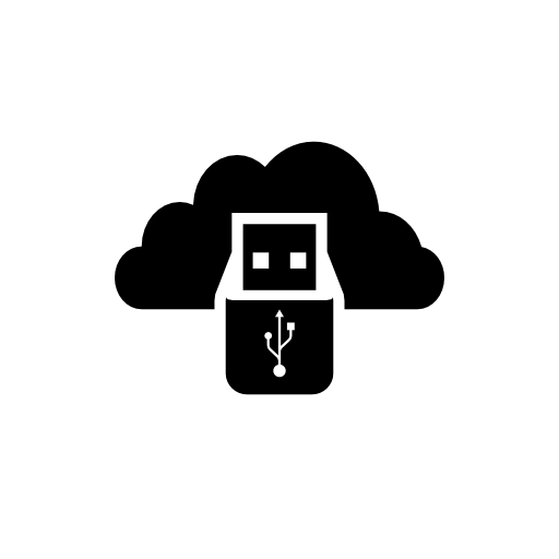 Flash drive and cloud storage