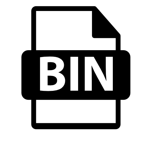 BIN file format