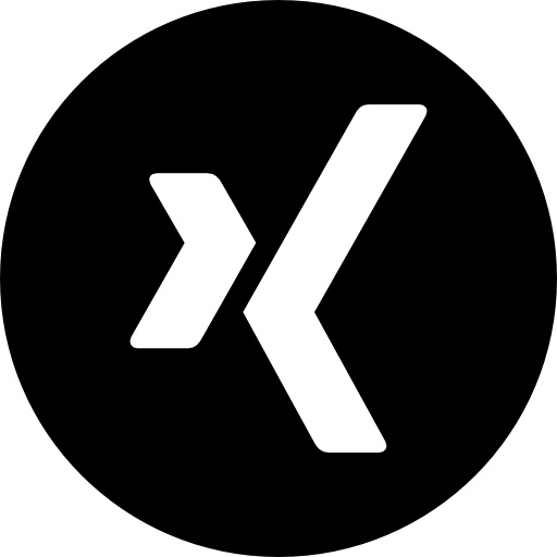 Xing icomoon logo