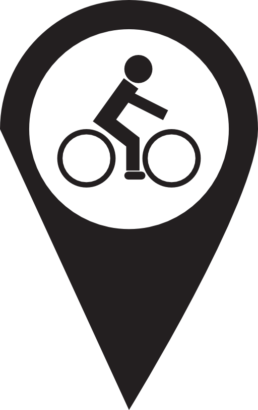 Pins bicycle