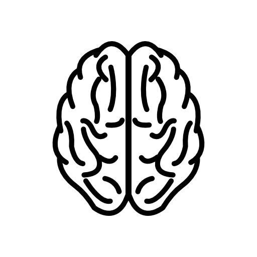 Brain upper view outline