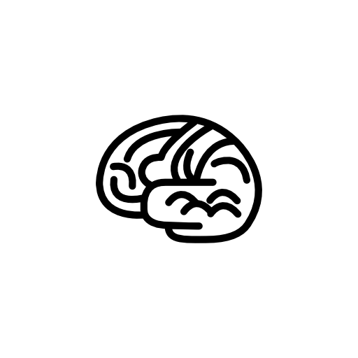 Brain body organ outline