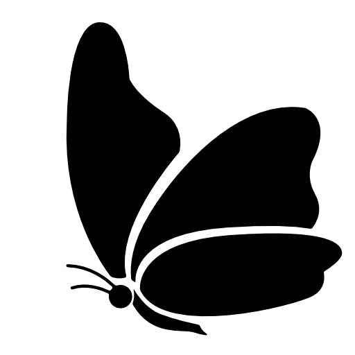 Black butterfly