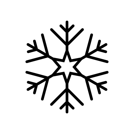 Ice snow flake