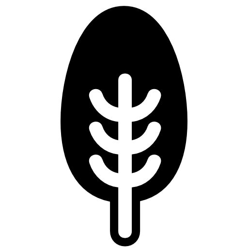 Tree symmetrical shape with oval foliage