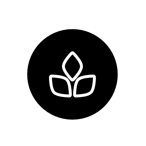 Plant leaves icon