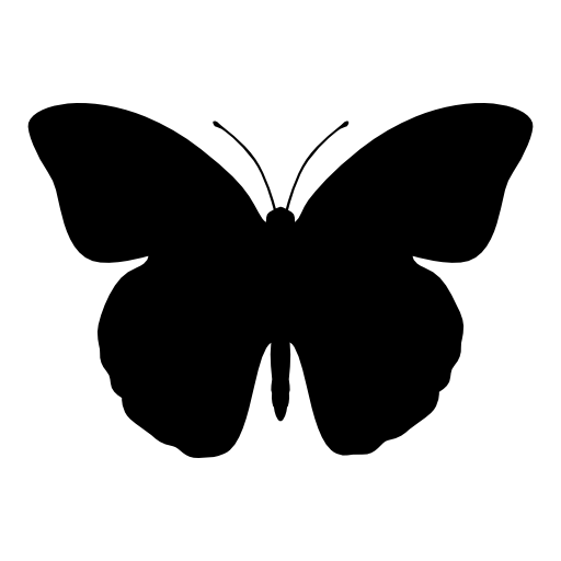 Halloween butterfly