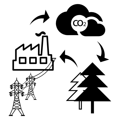 Cycle sketch of bio mass into energy