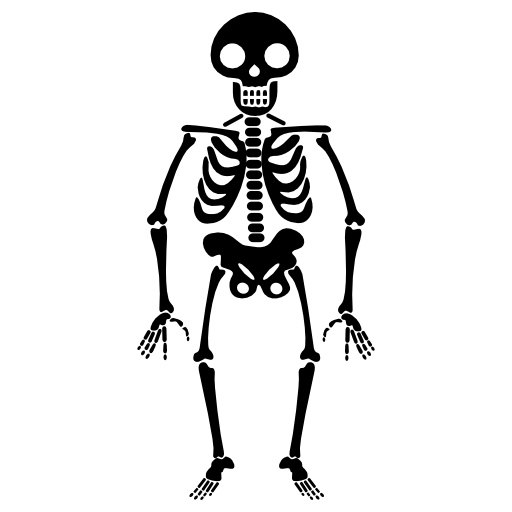 Halloween skeleton