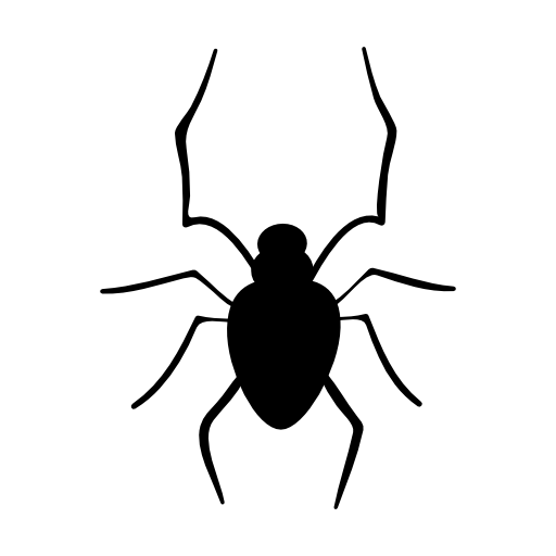 Halloween spider