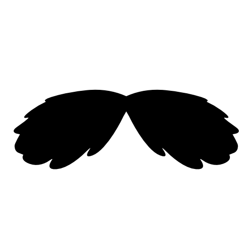 Facial hair mustache