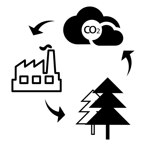 Cycle of bio mass