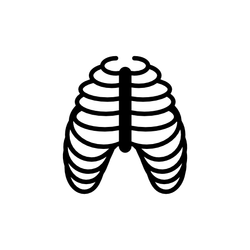 Human ribs bones