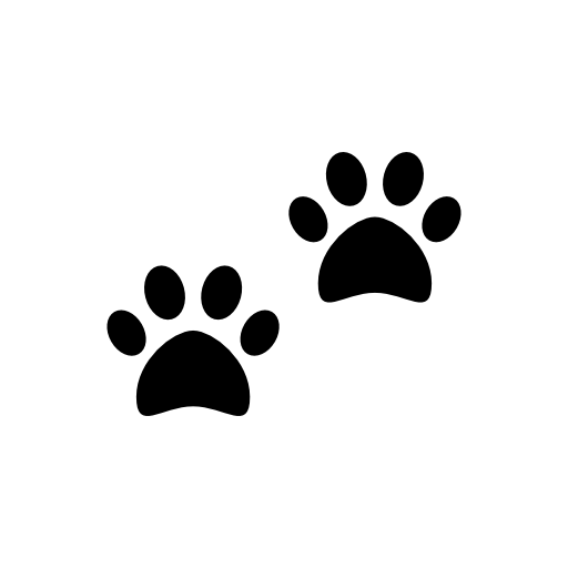 Dogs paws