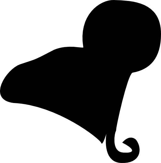 Female black hair shape