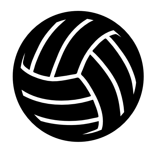 Volleyball ball