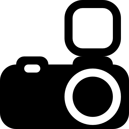 Photo camera with flash