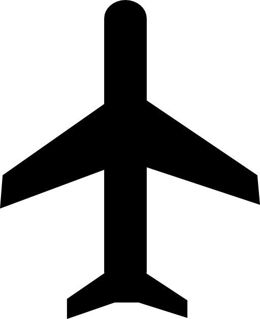 The plane