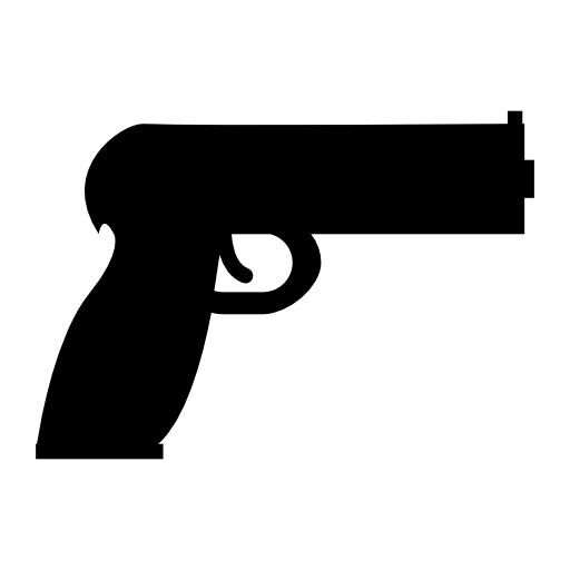 Gun