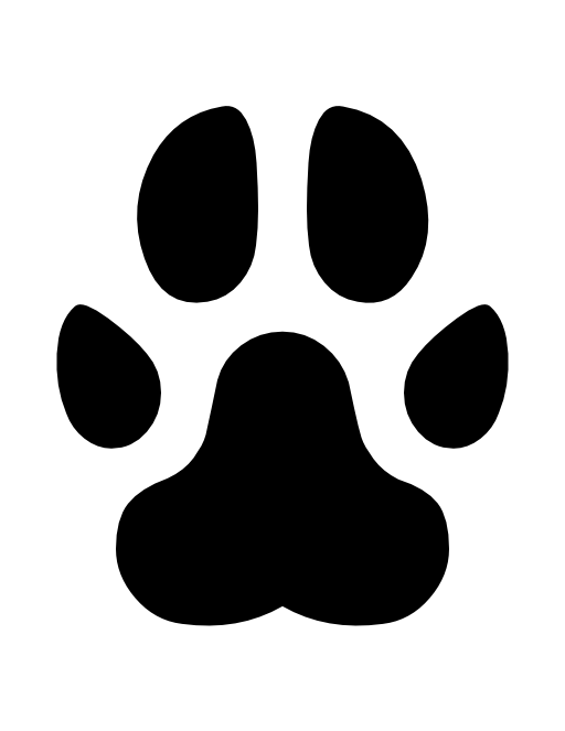 Footprint paw