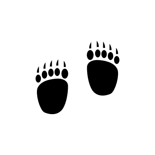 Bear footprints