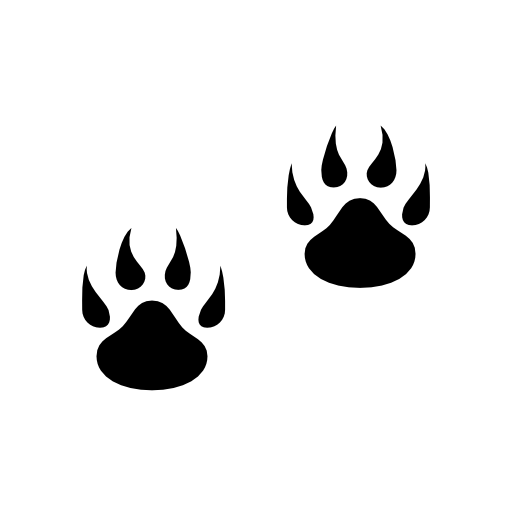 Pawprints