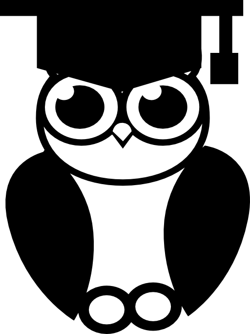 Graduation owl