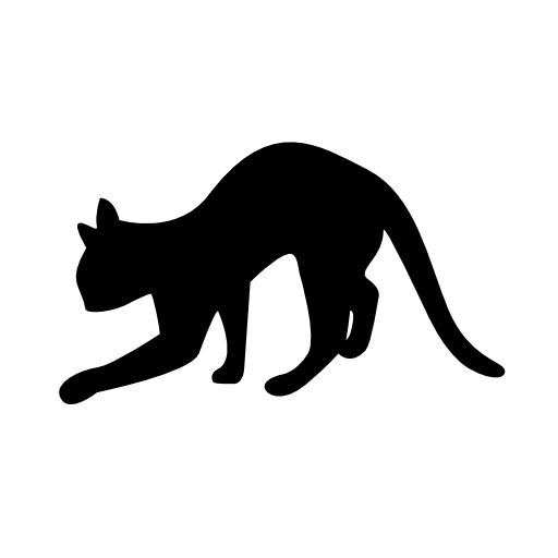 Black cat silhouette