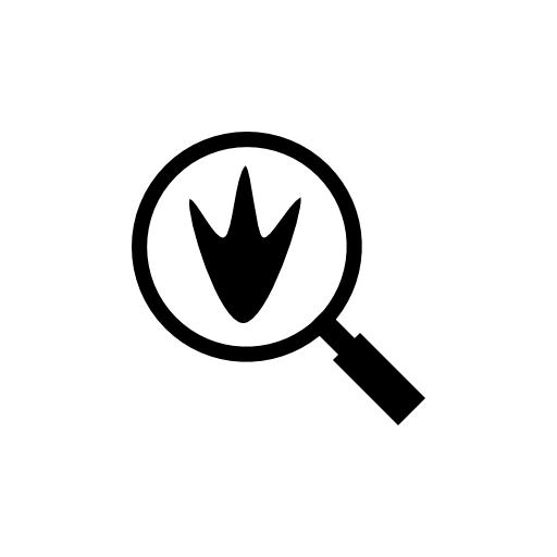 Aquatic bird footprint under observation