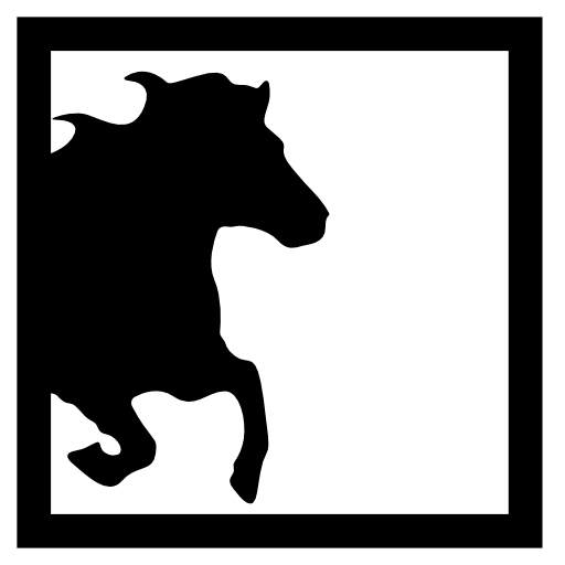 Horse half image inside a square frame