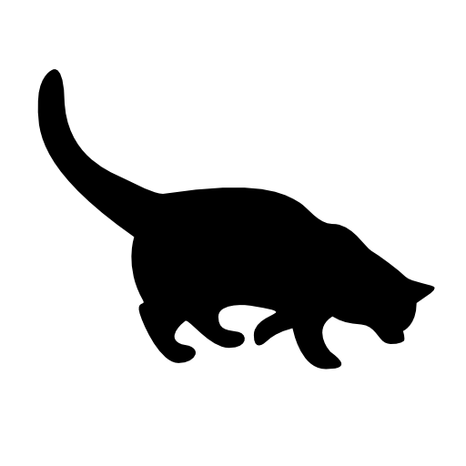 Black cat silhouette